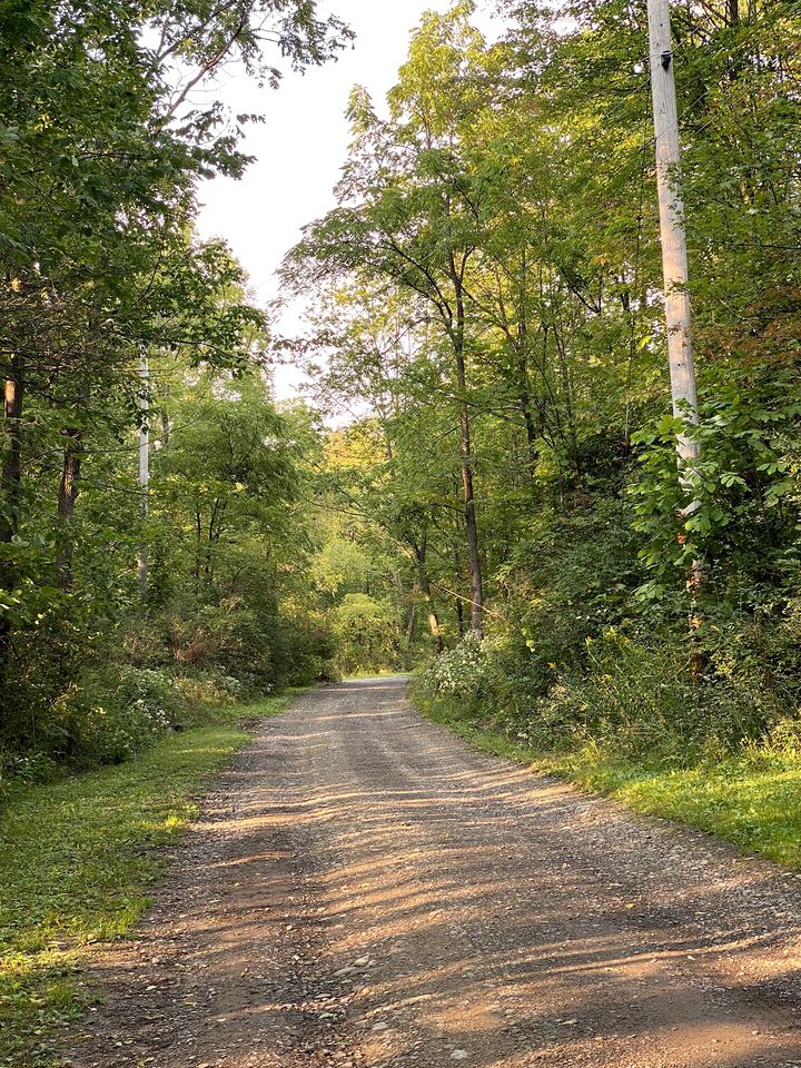 Finger Lakes Cabin for the Best Vacations in New York State