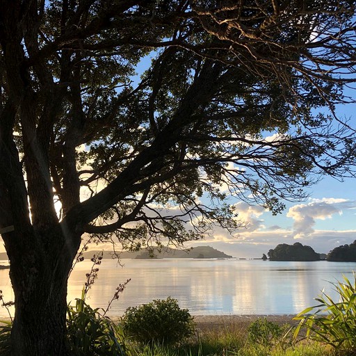 Beach Houses (Rawhiti, North Island, New Zealand)