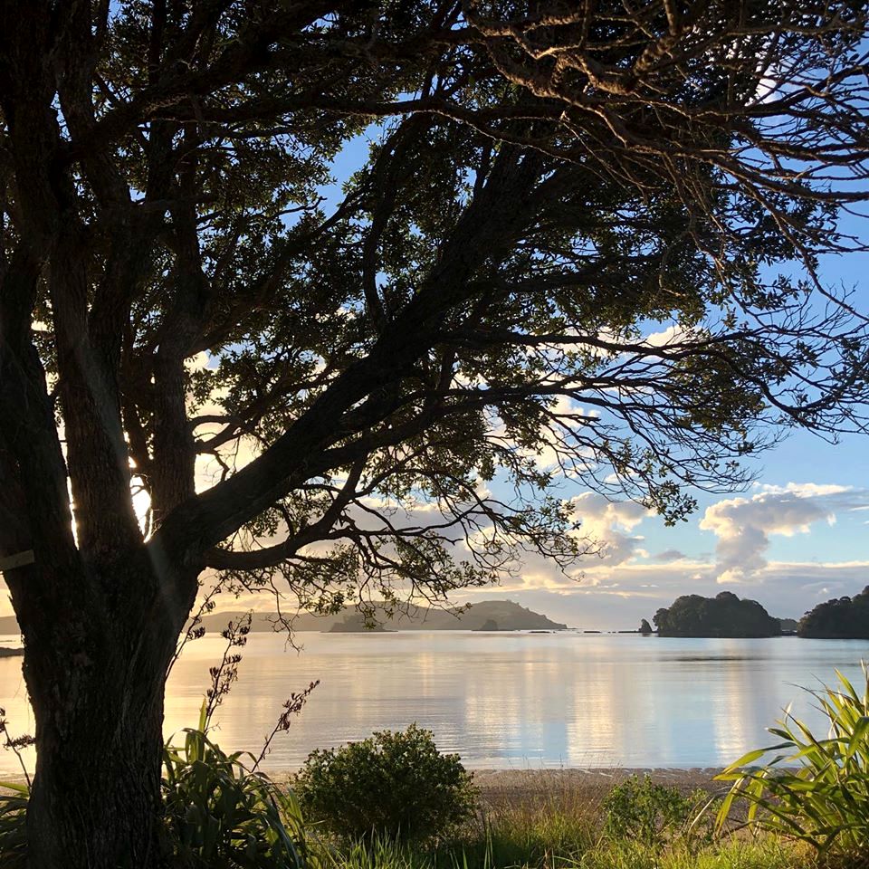 Stunning Luxury Beach House in Oke Bay for Amazing Family Holidays on the North Island
