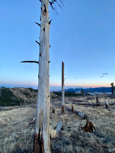 Yurts (Boulder, Colorado, United States of America)