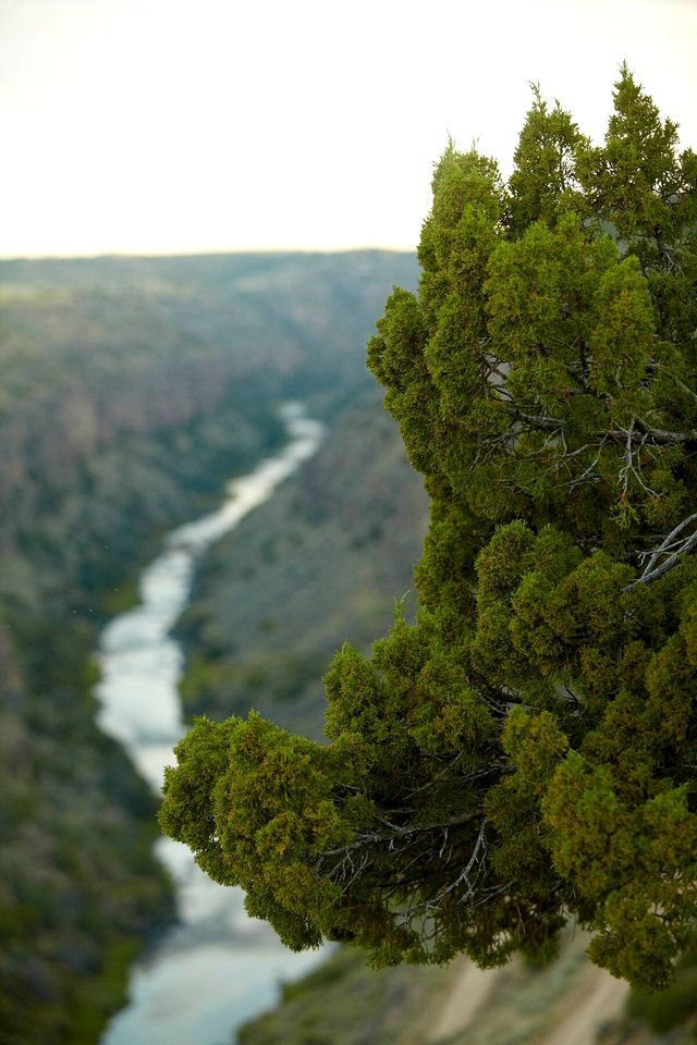 The Big Little Hideaway in El Prado, NM