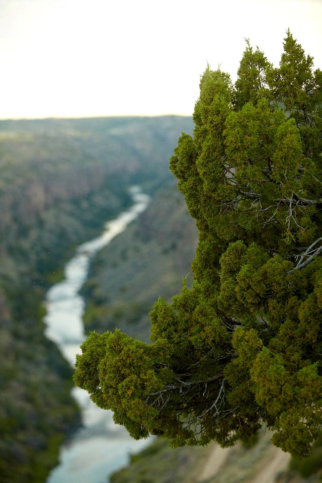 Fabulous Airstream Rental in El Prado for a Family Vacation in New Mexico