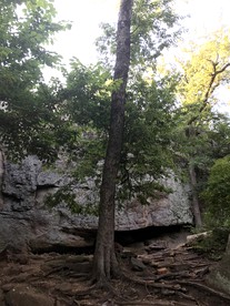 Hidden Treasure Harvest House Forest Getaway 30 Min. West of Fort Worth photo 5