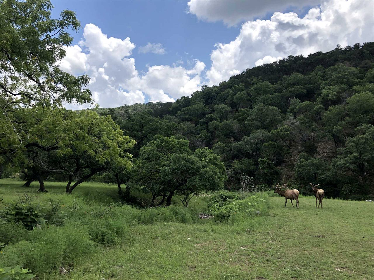 Antler Mountain House in Tarpley, TX