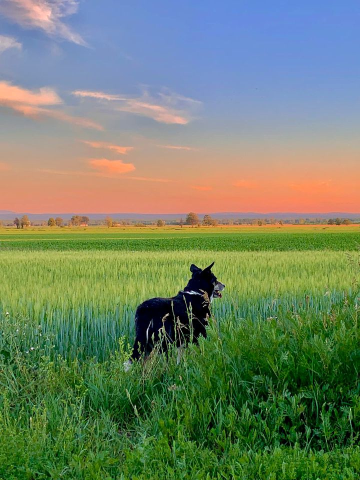 Great Quebec Cabin for a Romantic Getaway in Canada