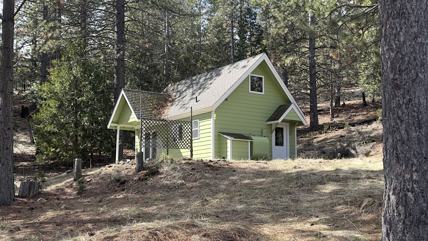 Quiet Forest-Edge Escape for Extended Stays in Weed, California