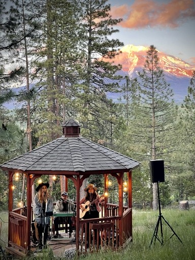 Cabins (United States of America, Weed, California)