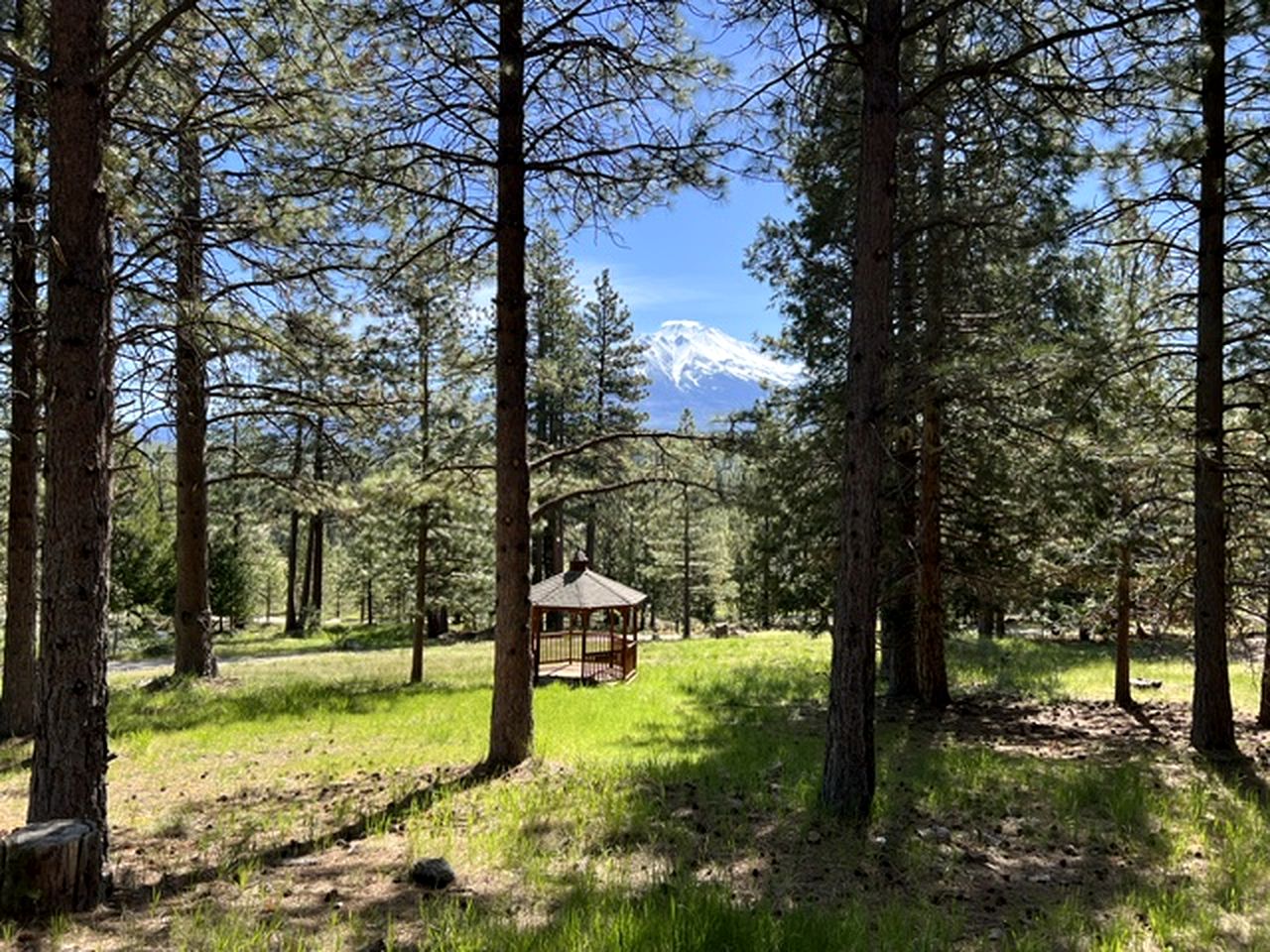 Quiet Forest-Edge Escape for Extended Stays in Weed, California