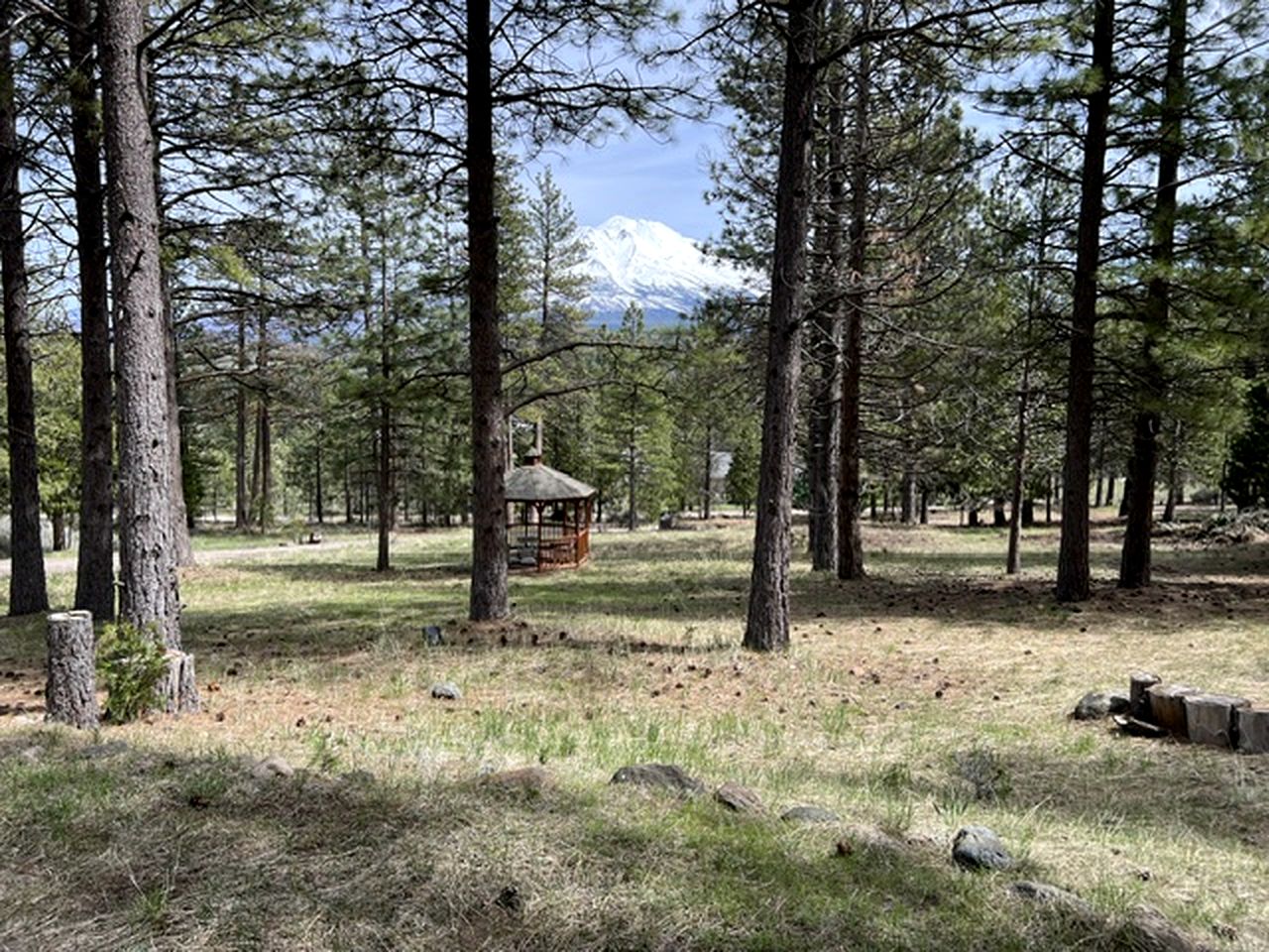 Quiet Forest-Edge Escape for Extended Stays in Weed, California