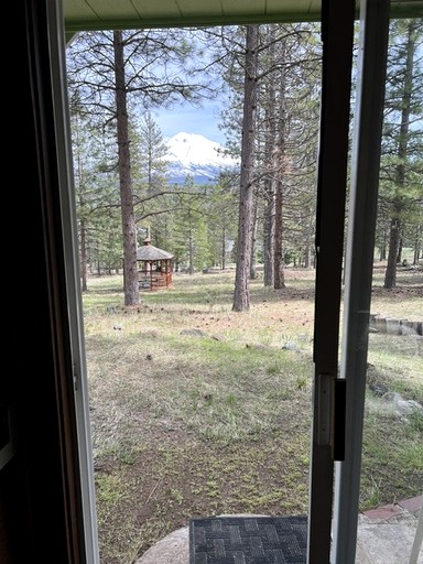 Cabins (United States of America, Weed, California)