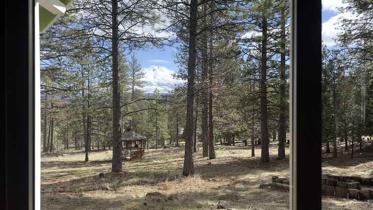 Cabins (United States of America, Weed, California)