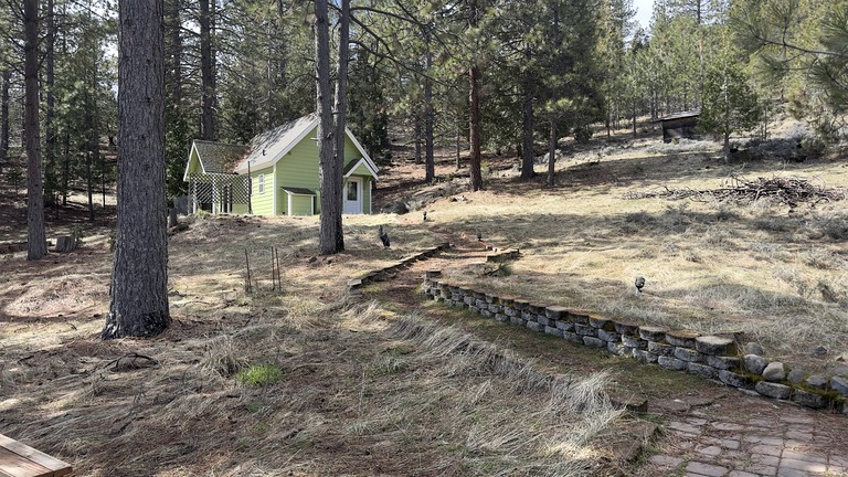 Cabins (United States of America, Weed, California)