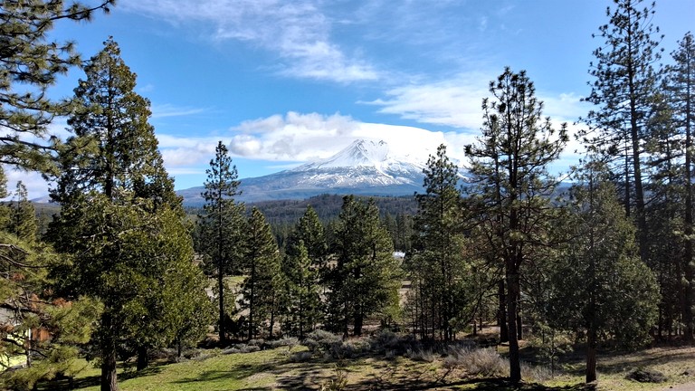 Vacation Rentals (United States of America, Weed, California)