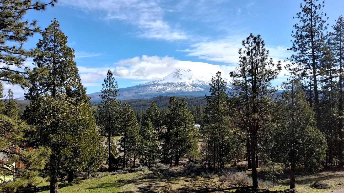 Quiet Mountain-View Retreat Surrounded by Nature in Weed, California
