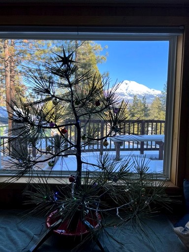 Vacation Rentals (United States of America, Weed, California)