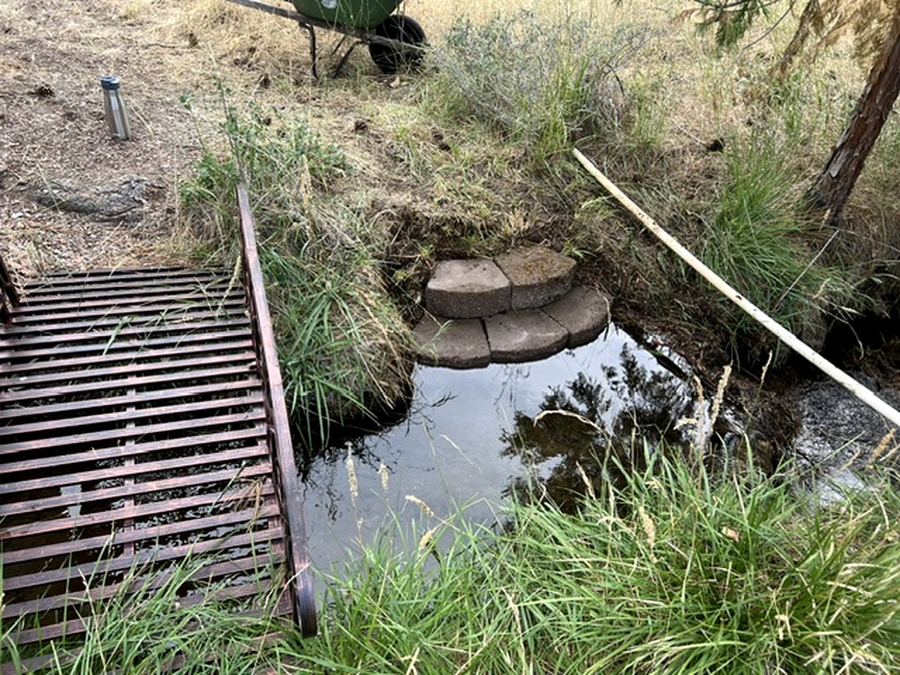 Quiet Mountain-View Retreat Surrounded by Nature in Weed, California