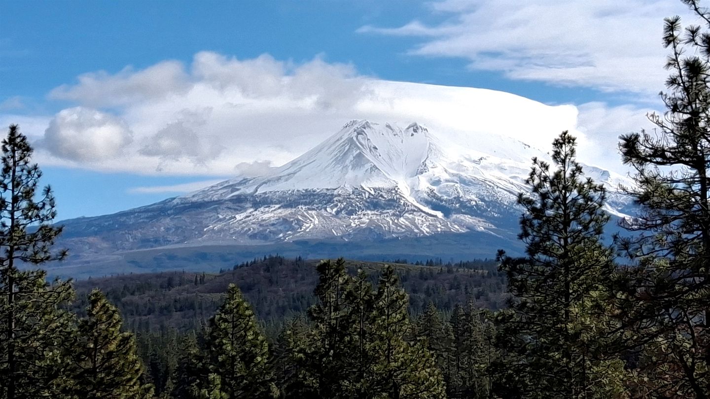Quiet Mountain-View Retreat Surrounded by Nature in Weed, California