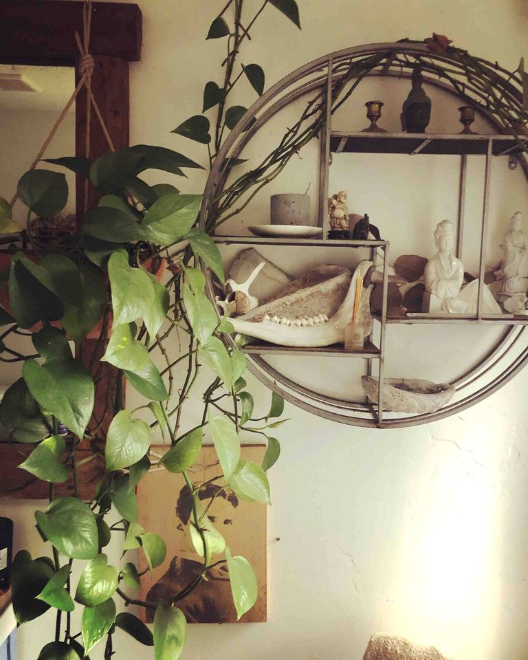 Charming Cabin Rental with a Hot Tub Ideal for a Weekend Getaway from San Francisco