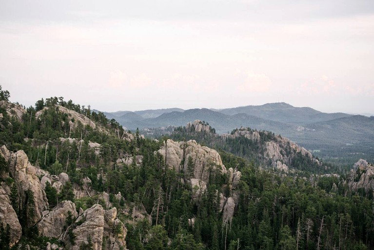 Cabins (Custer, South Dakota, United States of America)