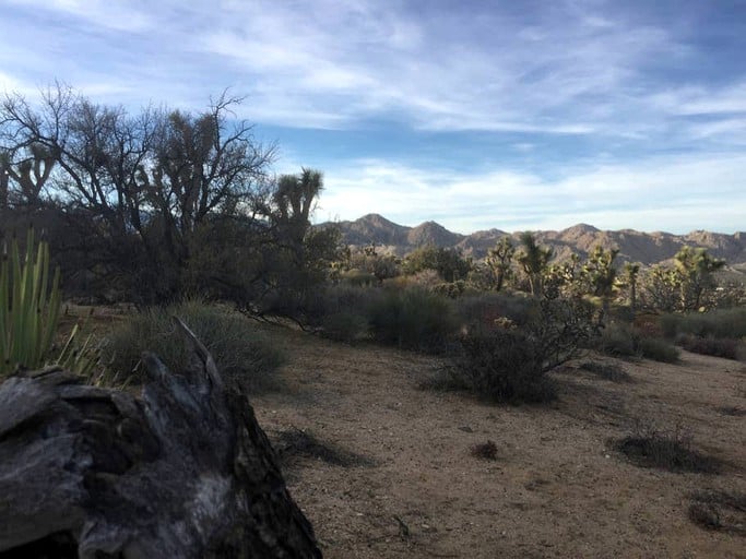 Cabins (Yucca Valley, California, United States)