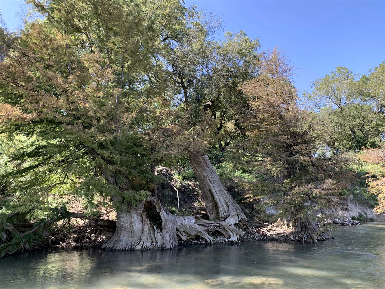 Peaceful Guadalupe River Retreat, Boerne, Texas