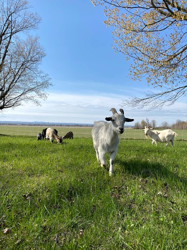 Cabins (Ormstown, Quebec, Canada)