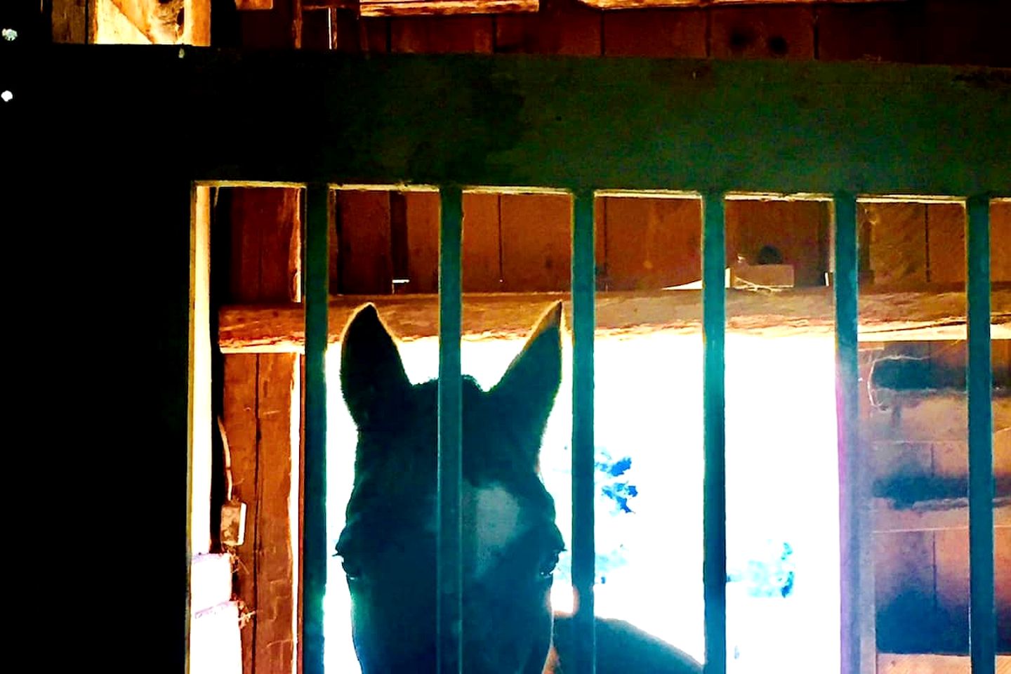 Secluded Farm Stay for a Perfect Oregon Glamping Experience