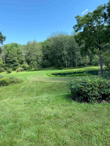 Cabins (Honeoye, New York, United States of America)