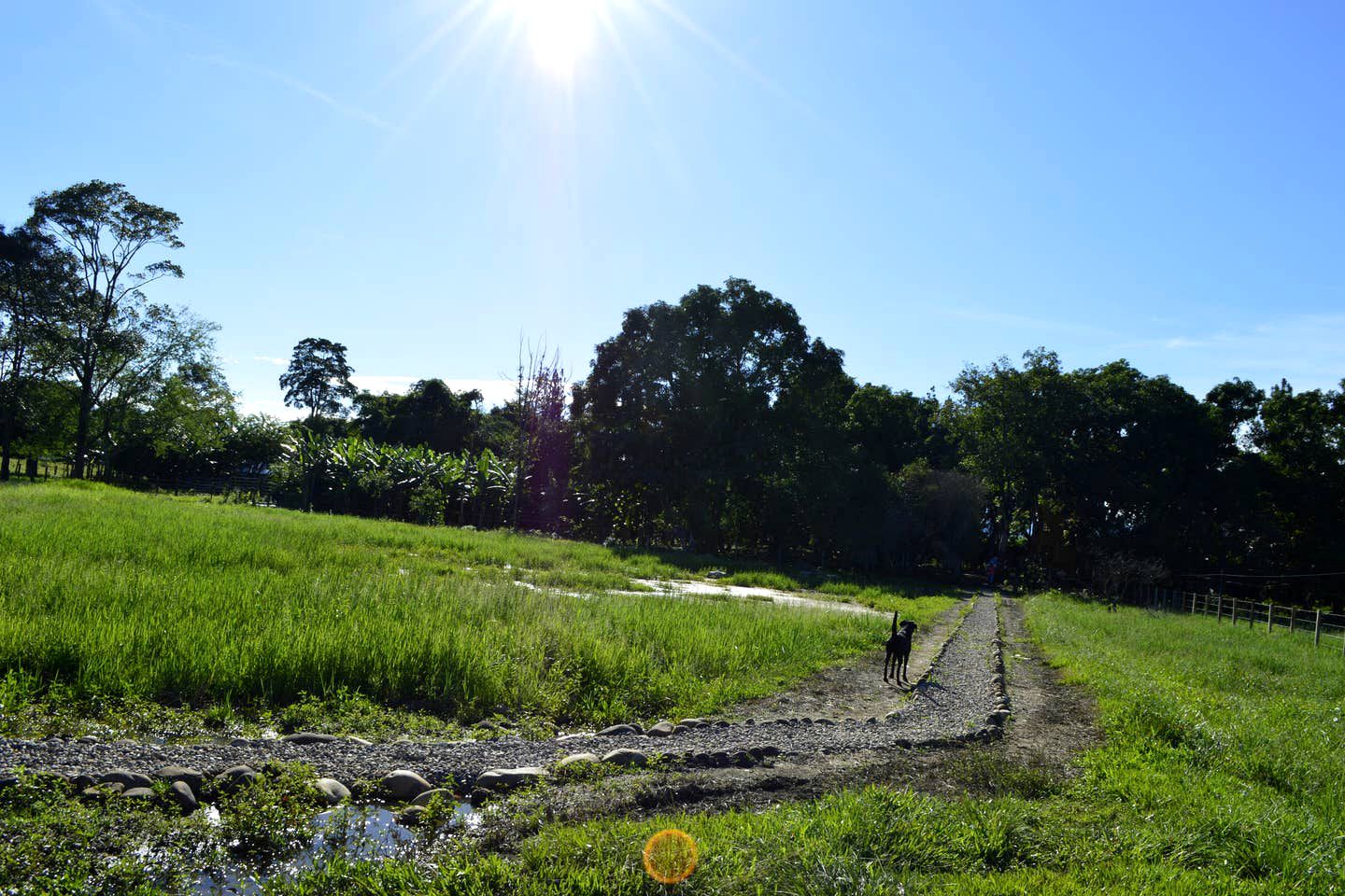 Luxurious Safari Tent Rentals near Villavicencio for Glamping in Colombia