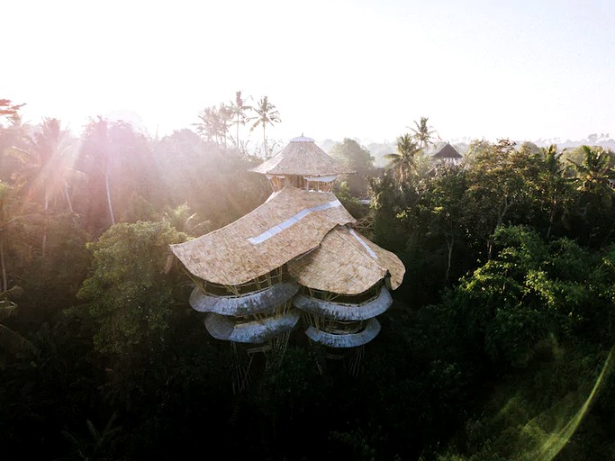 Tree Houses (Denpasar, Bali, Indonesia)