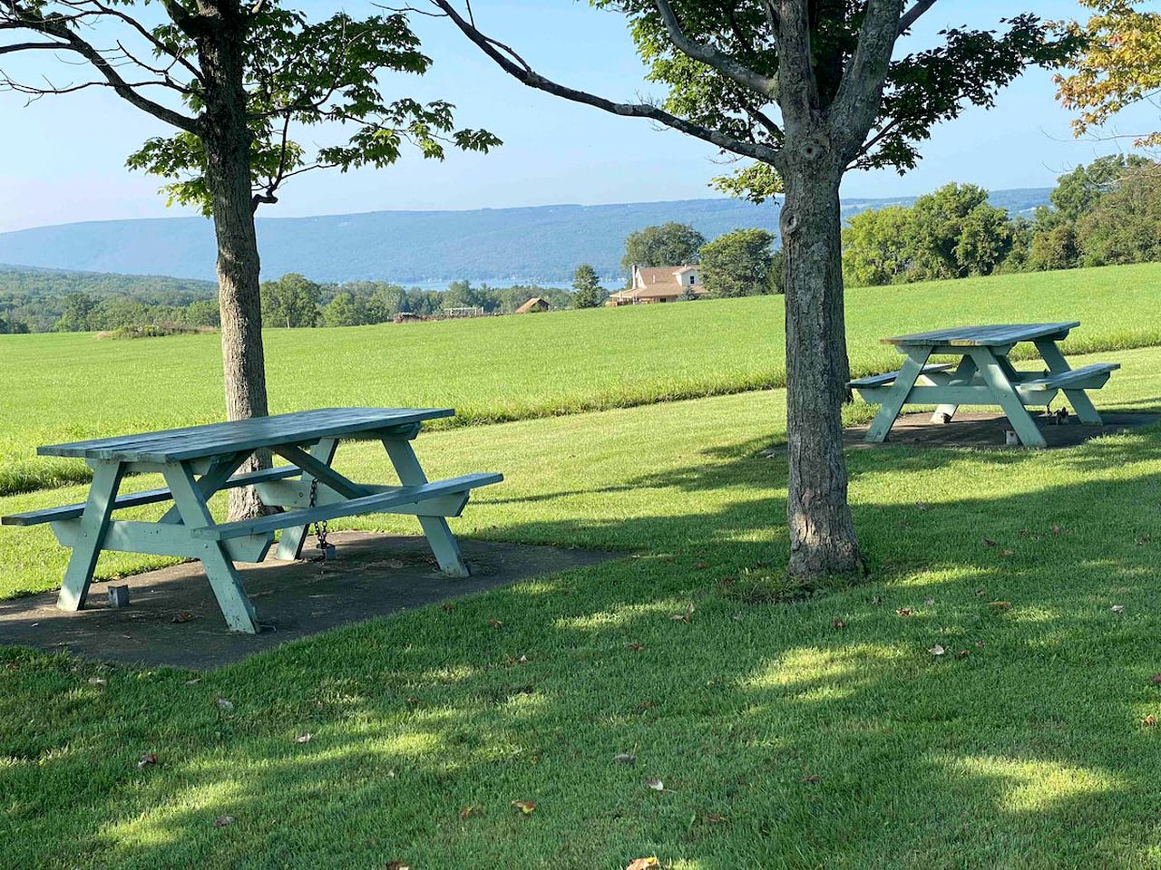 Finger Lakes Cabin for the Best Vacations in New York State