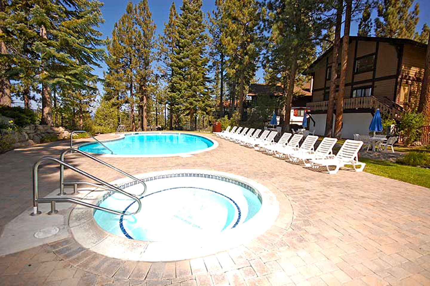 Pet-Friendly Weekend Getaway Amongst the Forest in South Lake Tahoe, California