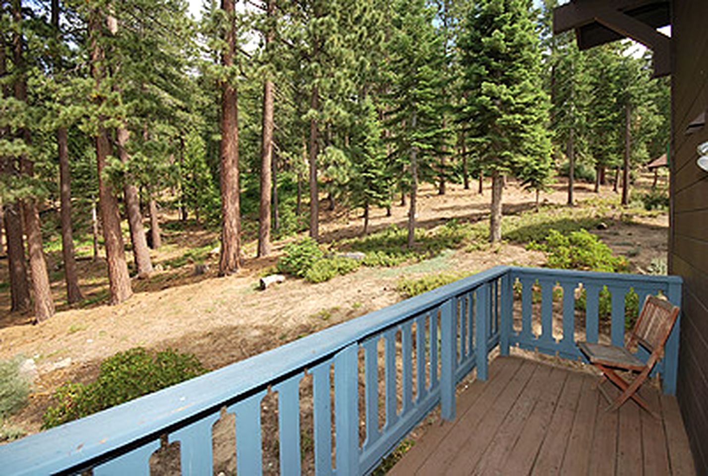 Pet-Friendly Weekend Getaway Amongst the Forest in South Lake Tahoe, California