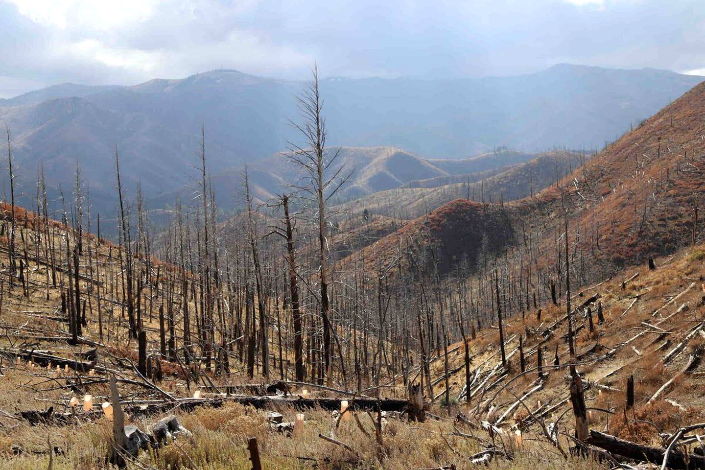 Casita Mistica a Southwest Adobe Cottage, Nogal, NM