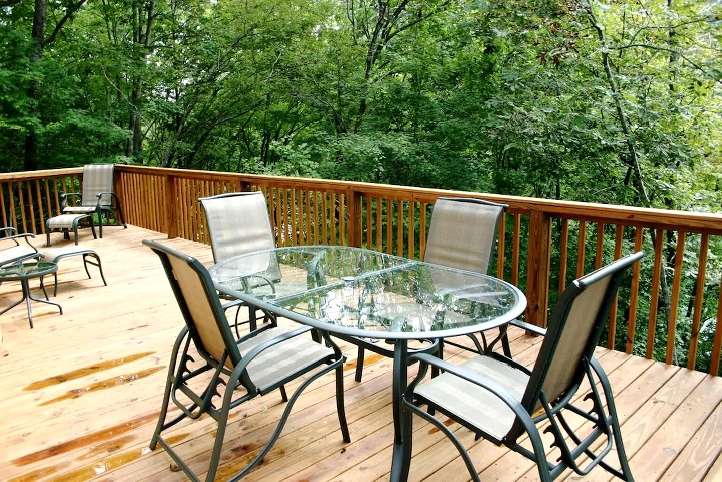 Regal Tennessee Retreat with a Dock on the Shores of Norris Lake