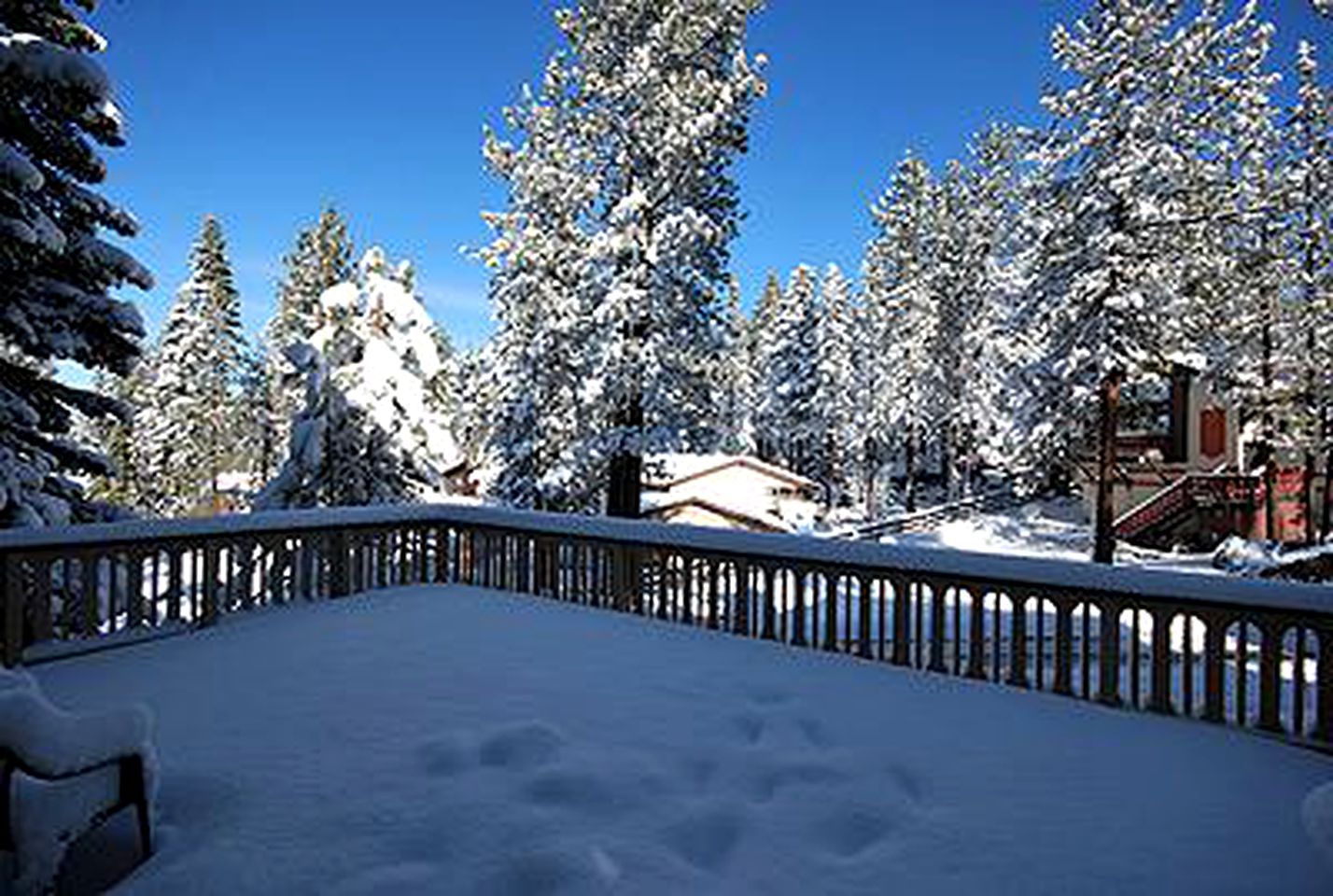 Pet-Friendly Cabin Getaway in South Lake Tahoe, California