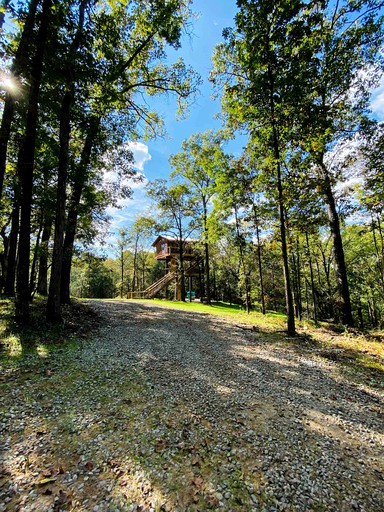 Tree Houses (Jackson, Georgia, United States of America)