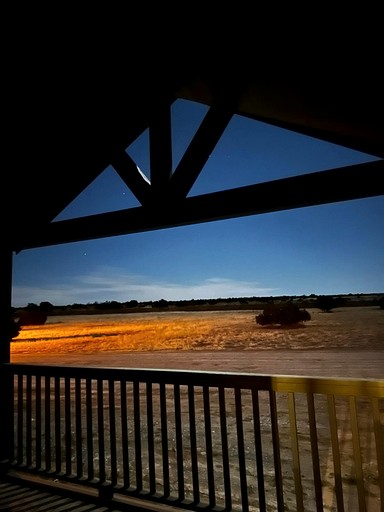Tiny Houses (United States of America, Williams, Arizona)