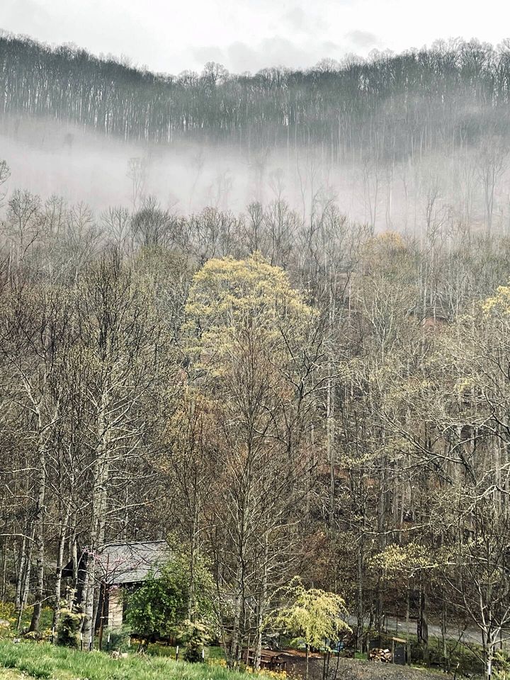 Off Grid Tiny Cabin Ideal for Couples in Burnsville, North Carolina