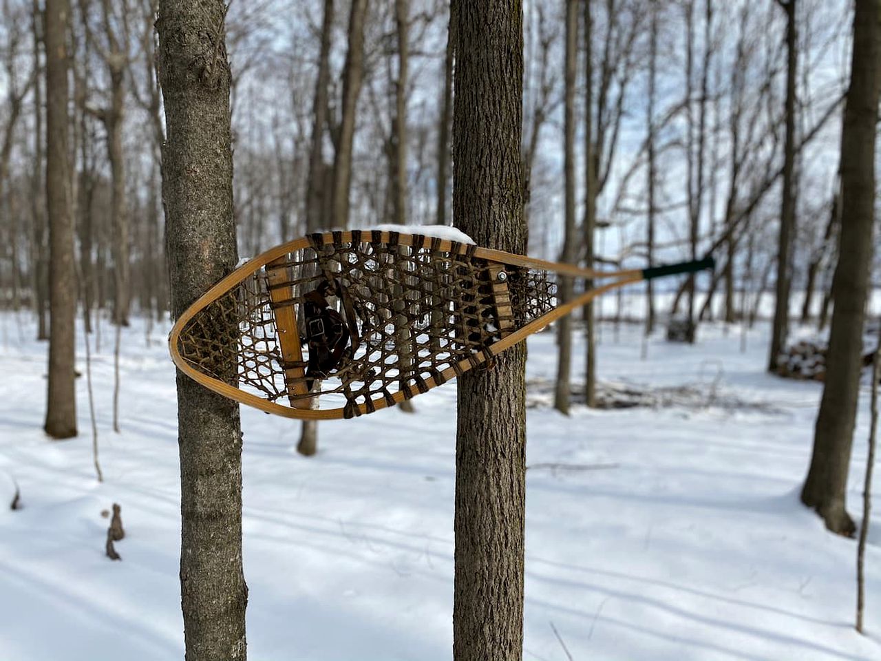 Great Quebec Cabin for a Romantic Getaway in Canada