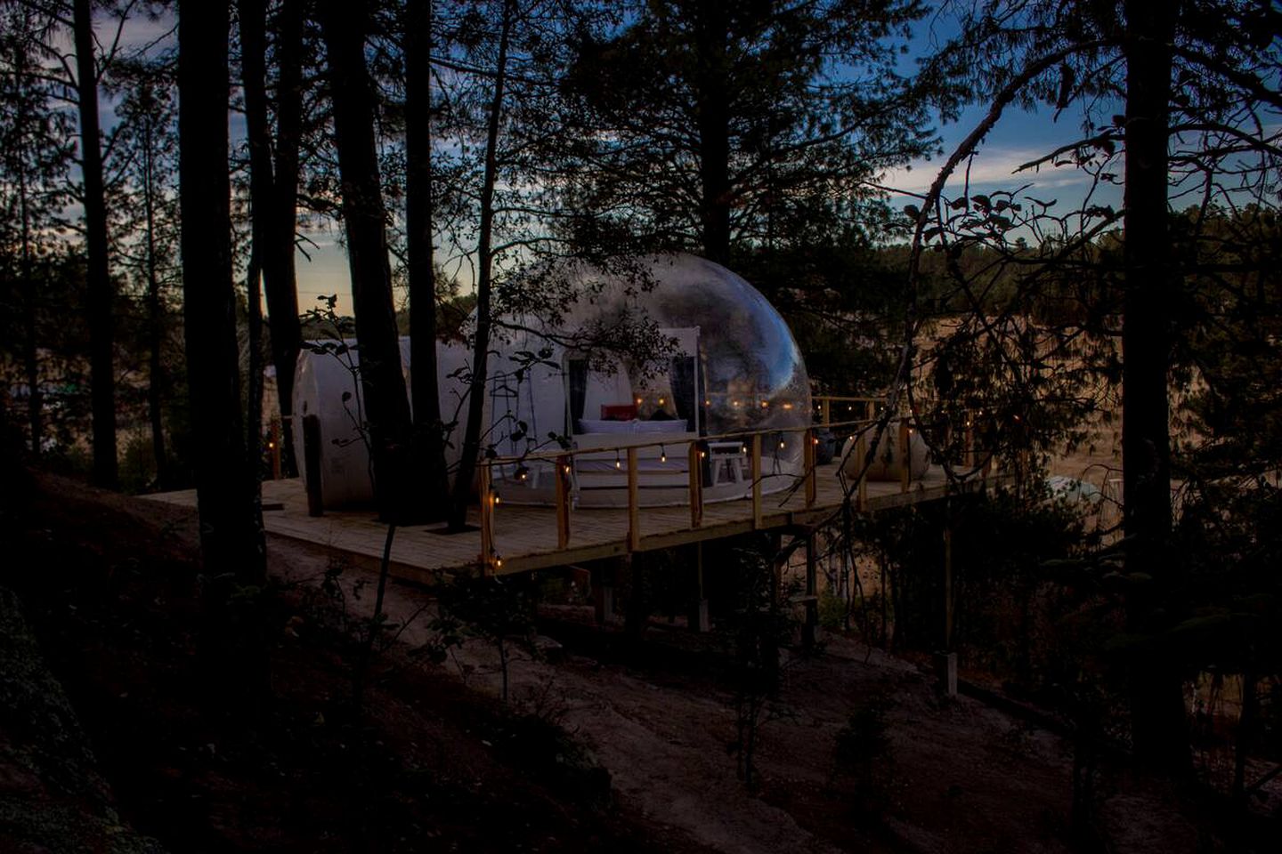 This Creel rental is surrounded by trees for the ultimate nature escape