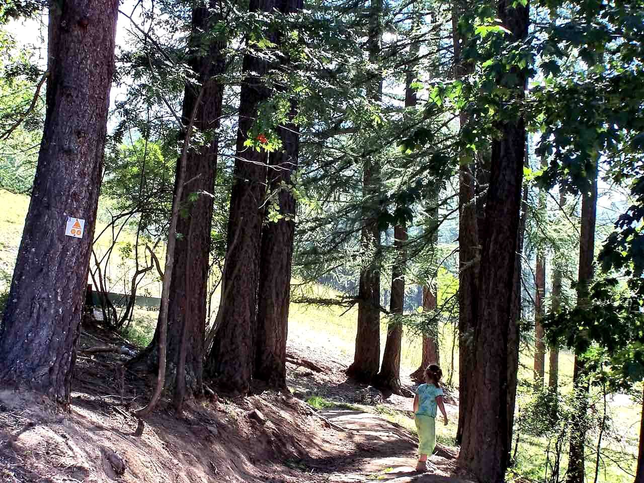 Gorgeous Zion National Park Glamping Getaway Perfect for a Great Vacation in Utah