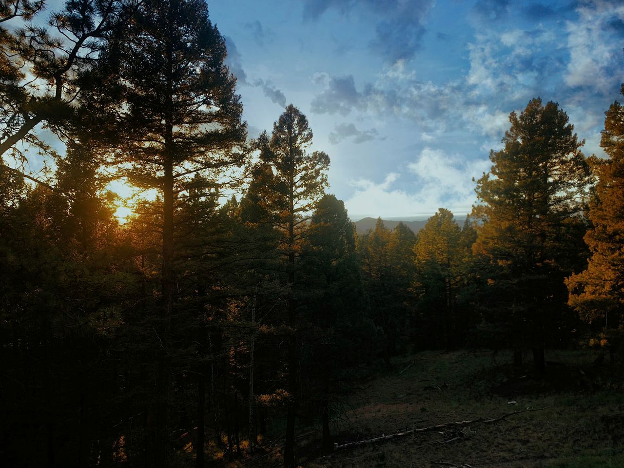 Colorado Mountain Cabin for a Weekend Getaway from Denver