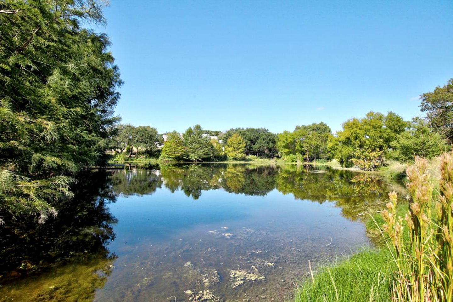 1800's Antique Log Cabin with Modern Amenities near Fredericksburg and Kerrville, Texas