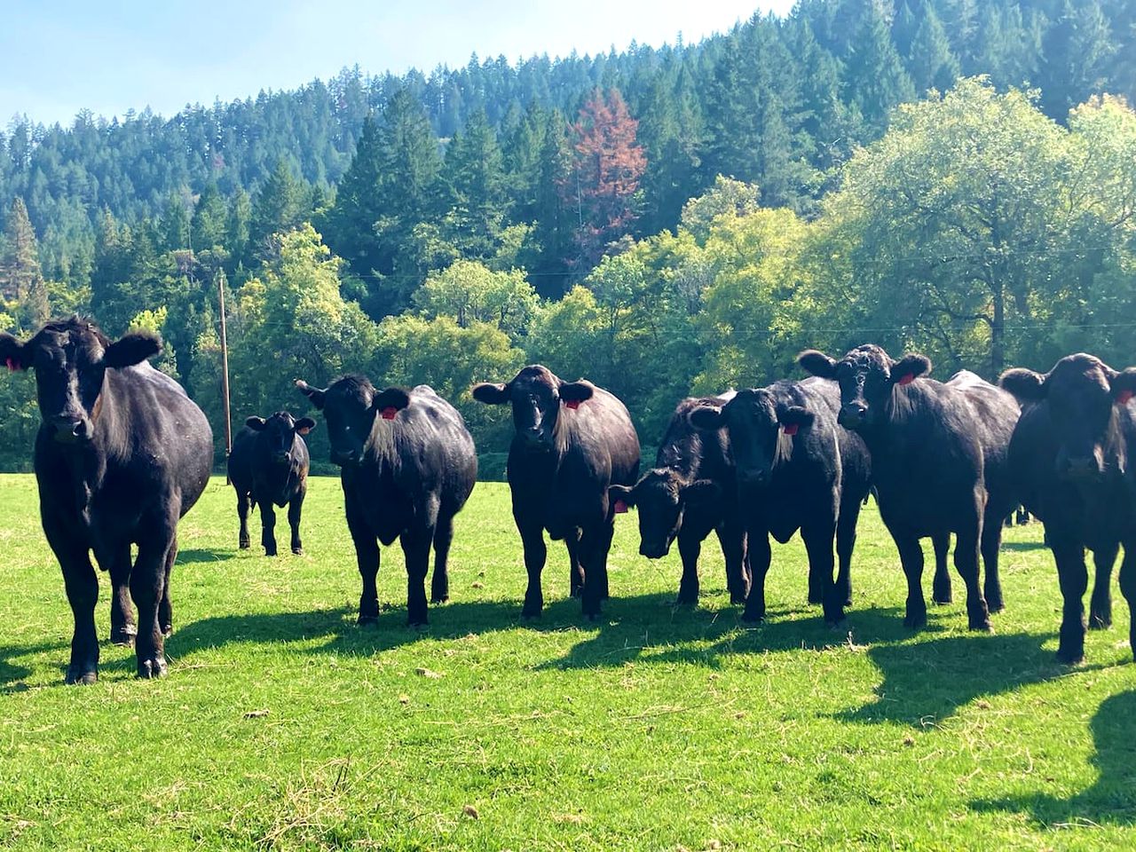Secluded Farm Stay for a Perfect Oregon Glamping Experience