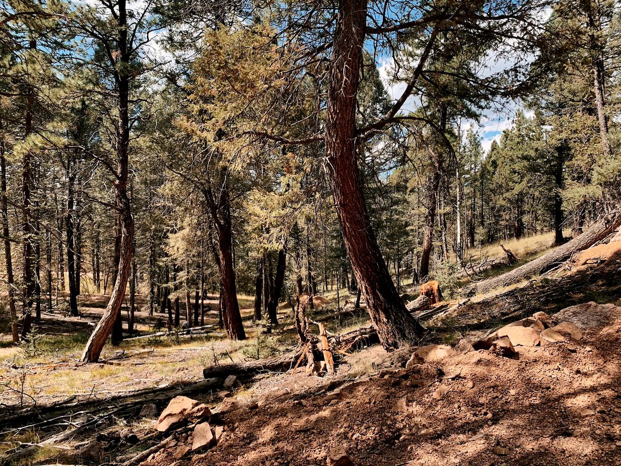 Colorado Mountain Cabin for a Weekend Getaway from Denver