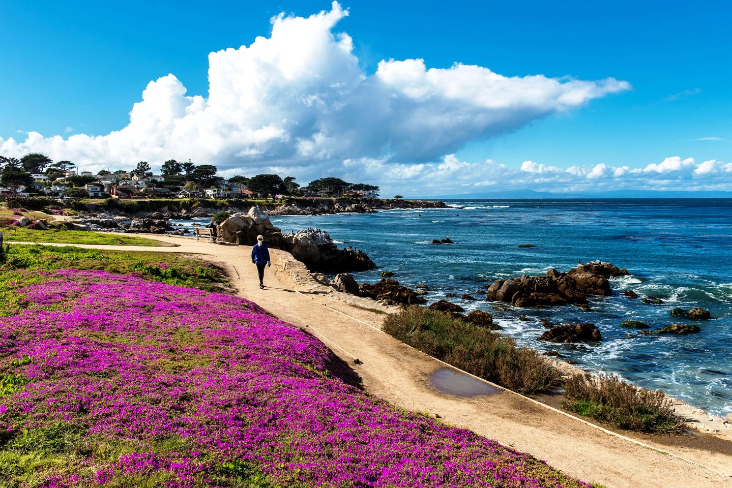 Charming Villa Ideal for Hiking in Pacific Grove, California