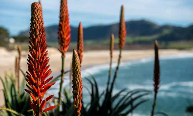 Vacation Rentals (United States of America, Carmel, California)