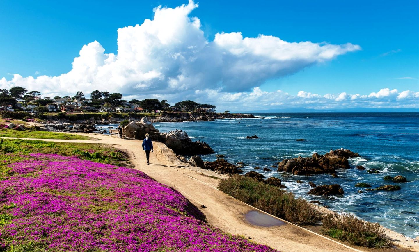 Charming Getaway with Idyllic Patio near Monterey Peninsula Attractions in Carmel, California