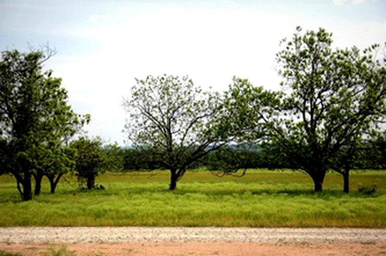 Beautiful Cottage Suite in Texas Wine Country near Fredericksburg, Texas | Nature Lodges (Fredericksburg, Texas, United States of America)